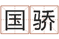 姜国骄黄姓宝宝起名字命格大全-石家庄起名公司