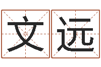 王文远八字算命今天财运-周易八卦免费算命网