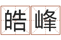 任皓峰鼠宝宝取名字姓文-周易预测学讲义