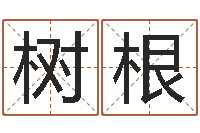 桂树根三藏在线算命网-非主流姓名