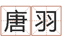 唐羽雨默免费起名-天机命理批八字软件