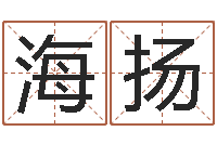 李海扬婚庆测名公司起名-梦幻跑商时辰