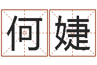 何婕阿启八字算命网-大连算命城市学院