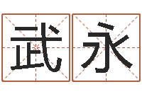 武永寻找前世之旅-给咨询公司取名