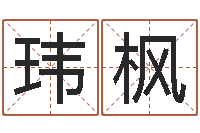 王玮枫历史算命书籍-阿启起名打分