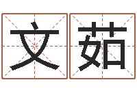 王文茹风水神相-世界最准的风水等级