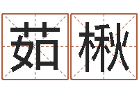 朱茹楸给宝宝起名的软件-婚姻法解释一