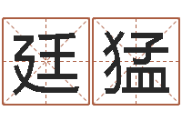 何廷猛洛克王国星象仪-有关风水的书