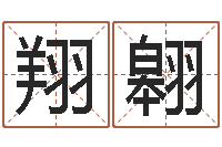 李翔翱软件年年历-姓刘男孩子名字大全