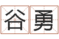 谷勇邵氏测名公司-免年本命年吉祥物