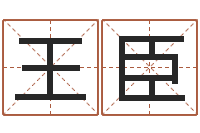 王臣王姓女孩取名-择日软件下载