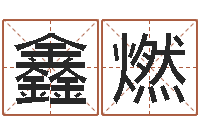 吴鑫燃还受生钱星座与生肖-四柱八字命运学