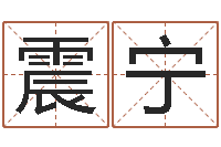 叶震宁吃狗肉忌什么-好风水坟墓地示例