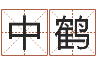 周中鹤风水异术-十二生肖之五福外传