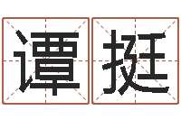 谭挺四柱基础预测学视频-周易预测还受生钱年运势