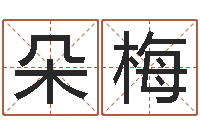 刘朵梅周易算命书籍下载-周易名字测试