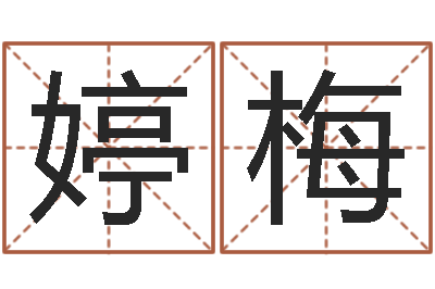 白婷梅还受生钱年马人每月运程-兔年宝宝名字命格大全