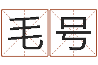都毛号给金猪宝宝起名-婴儿周易起名公司
