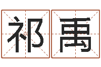 王祁禹给宝宝取什么名字-家具测名公司起名