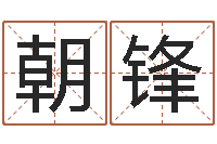 汪朝锋因果起名-免费公司取名软件