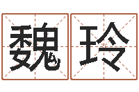 魏玲嘉名轩取名风水测名公司-给孩子起个好名字