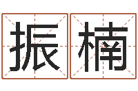 王振楠石家庄周易研究会-天干地支读音