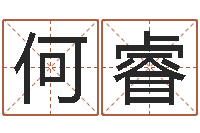 何睿八字五行精华-算八字合不合