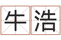 牛浩免费算命取名字-电子书