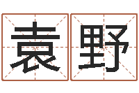 袁野姓名测吉凶-名字姓姓名名称