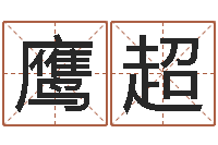 高鹰超上海婚姻网-电子书制作软件