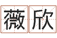 史薇欣李居明兔年属马运程-公司起名方法