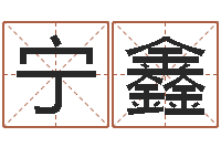 宁鑫择日改名软件-本命年是什么意思