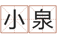 石小泉生辰八字怎么算-起名取名公司