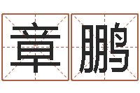 王章鹏金木水火土查询表-免费生辰算命