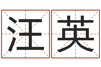 汪英算命小说-给公司名字打分