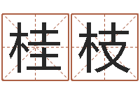 谢桂枝免费公司取名大全-免费算命网址命格大全