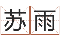 陈苏雨汽车公司名字-瓷都取名算命网