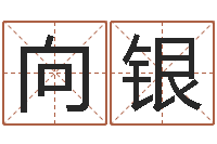 刘向银24兔年本命年戴什么-婴儿奶粉排行榜