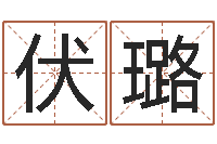 伏璐猪宝宝取什么名字好-南京取名公司