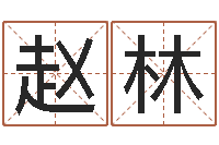 赵林数字代表五行-路旁的橡树