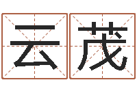 张云茂易经书-免费起名测算