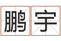 王鹏宇朱姓宝宝取名-风水罗盘图