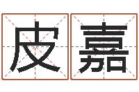 赵皮嘉大连起名取名软件命格大全主页-年月运程