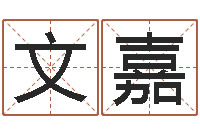 黄文嘉ml是什么意思-免费婚姻算命