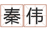 秦立伟四柱八字排盘软件-算命测名字