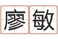 廖敏紫微斗数在线排盘-华东起名取名软件命格大全地址