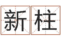 陈新柱十二生肖与运程-长高八字