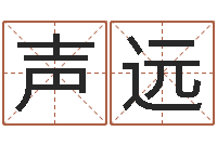 王声远免费生辰八字测命运-免费双胞胎取名