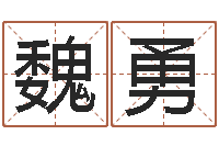 魏勇名典姓名预测-十二生肖所属五行