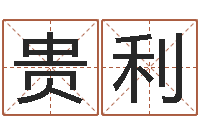 夏贵利装饰公司起名字-八字学习群